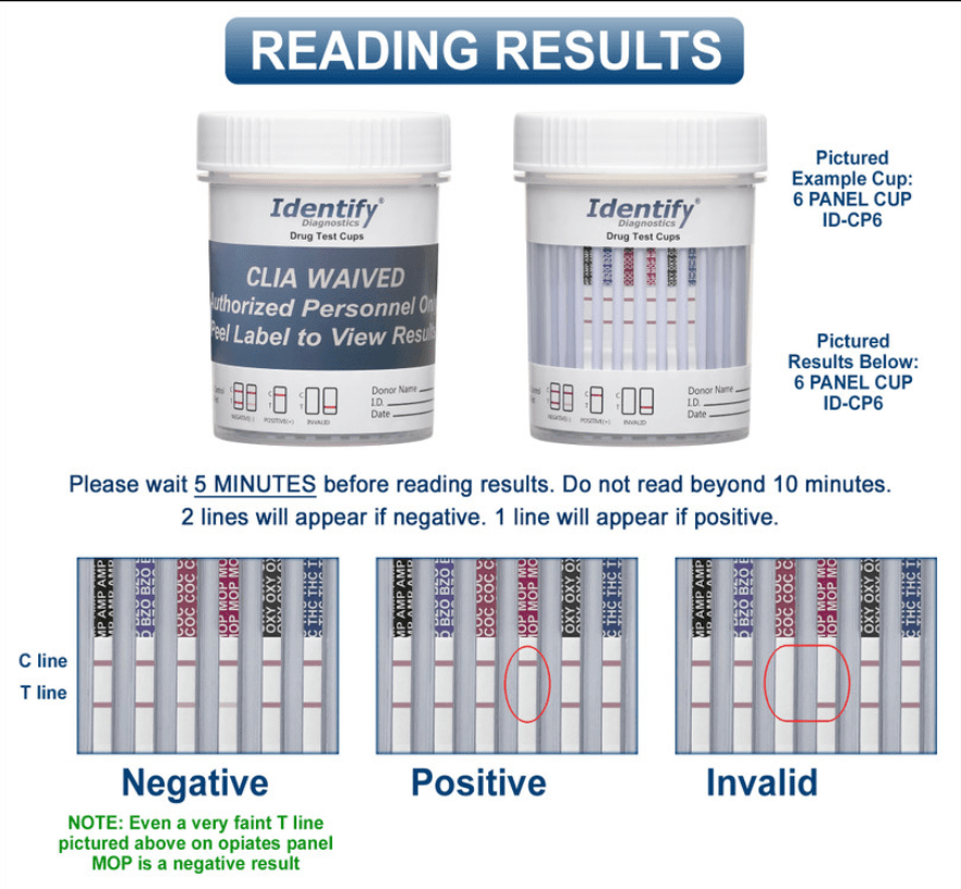 Vaso integrado con sistema antidoping, ideal para pruebas de control antidopaje en entornos profesionales.
